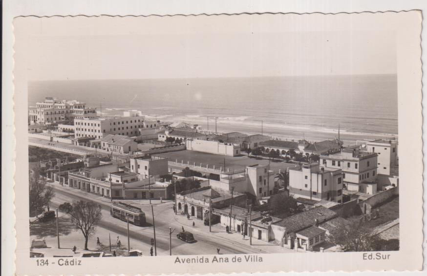 Cádiz.- Avenida Ana de Villa. Ed. Sur 134. Fechada en octubre de 1953