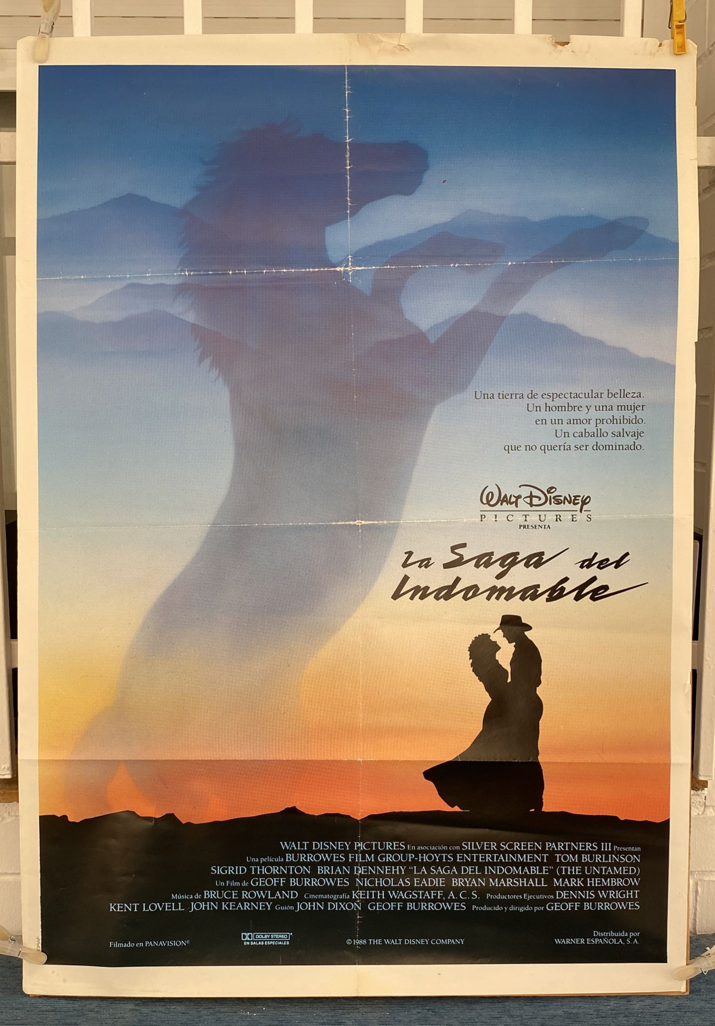 La SAga del Indomable. Cartel (101x70) Walt Disney, 1988