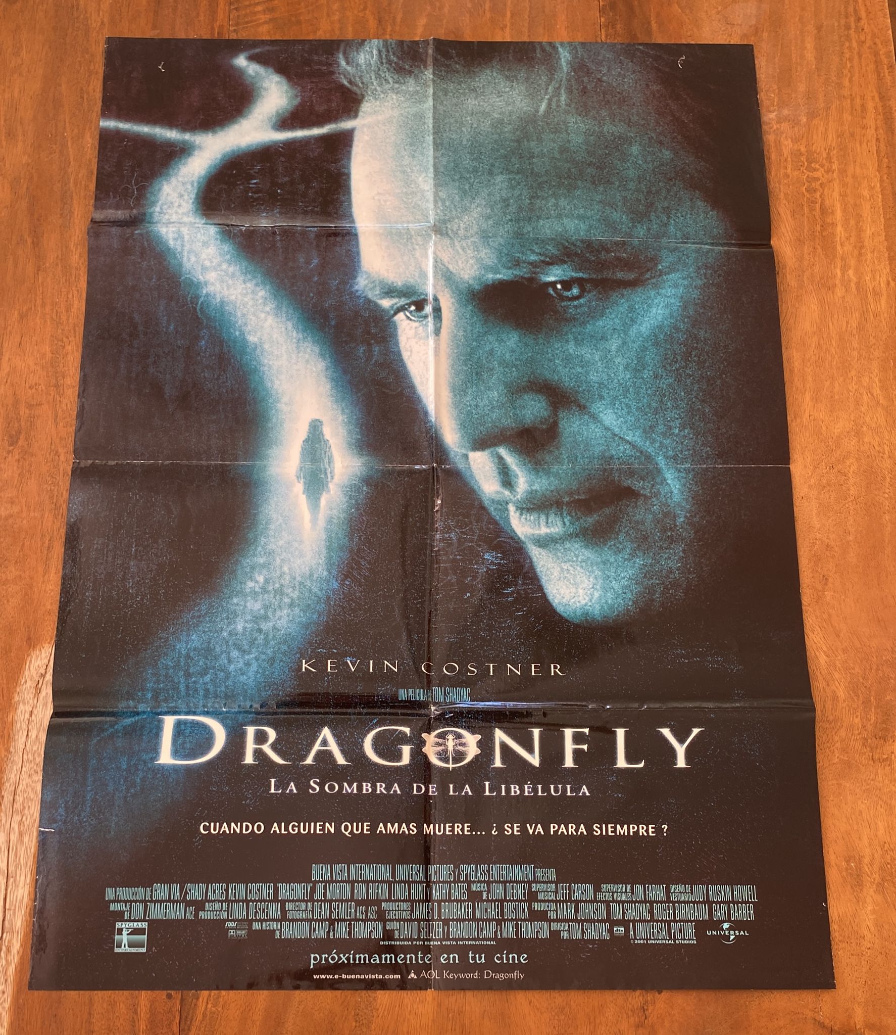 Dragonfly. Cartel (100x70) Año 2001