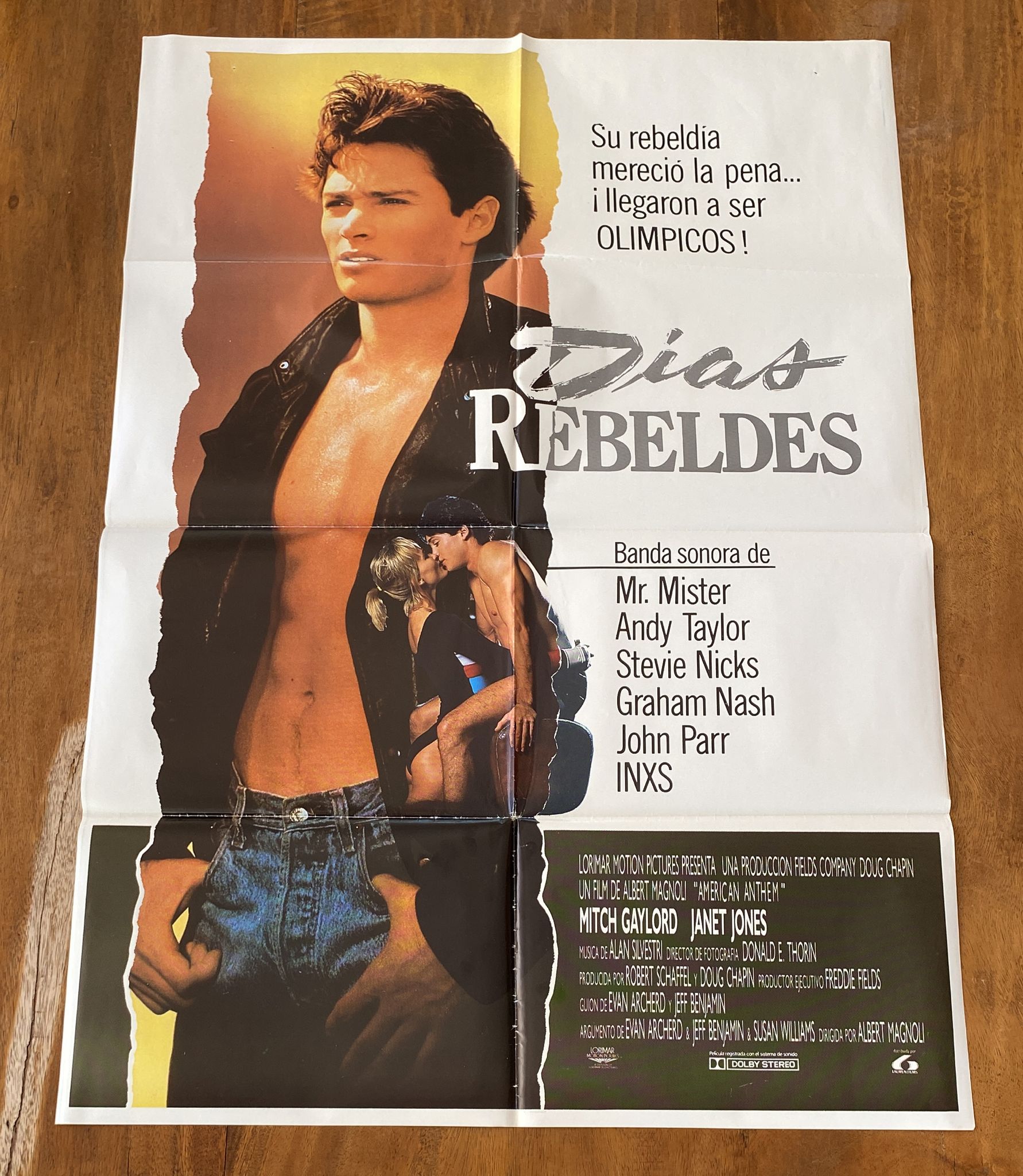 Días Rebeldes. Cartel (100x70)
