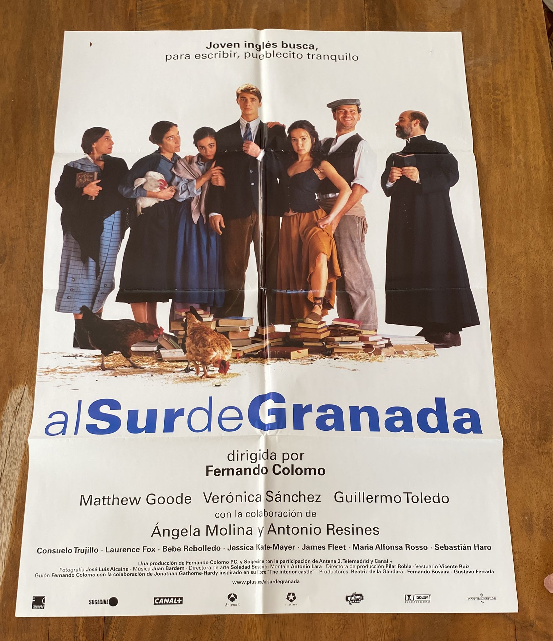 Al Sur de Granada. Cartel (100x70) Año 2001