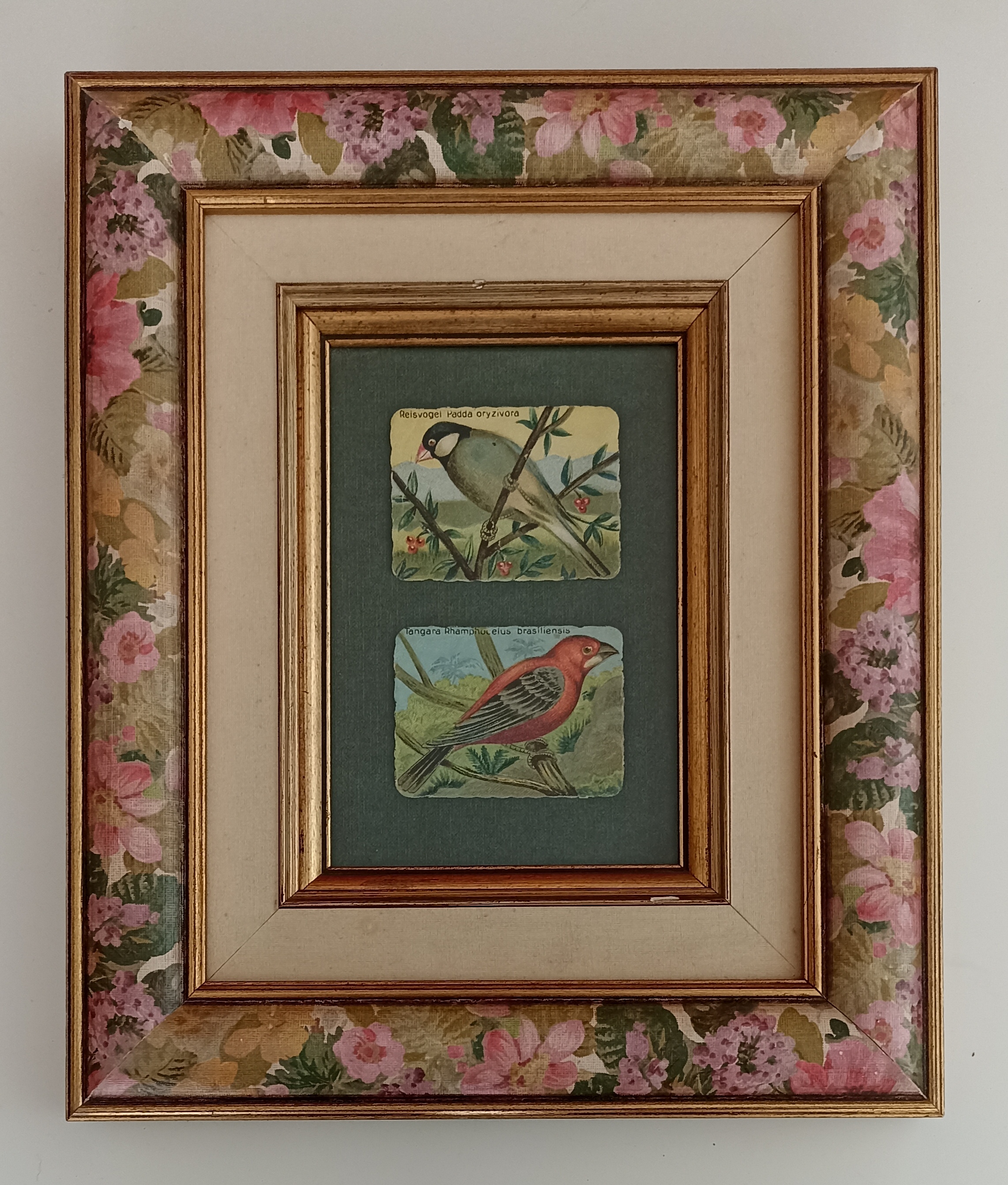 Bonito cuadro con marco de madera y cristal protector. 35,5x29,5 cm.