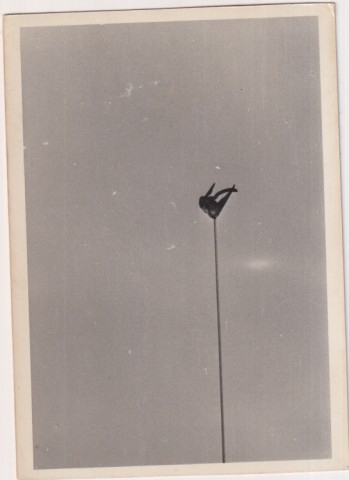 Fotografía (12x8,5) Fotógrafo Agudelo. Sevilla, Golondrina clavada en una antena. Años 60/70