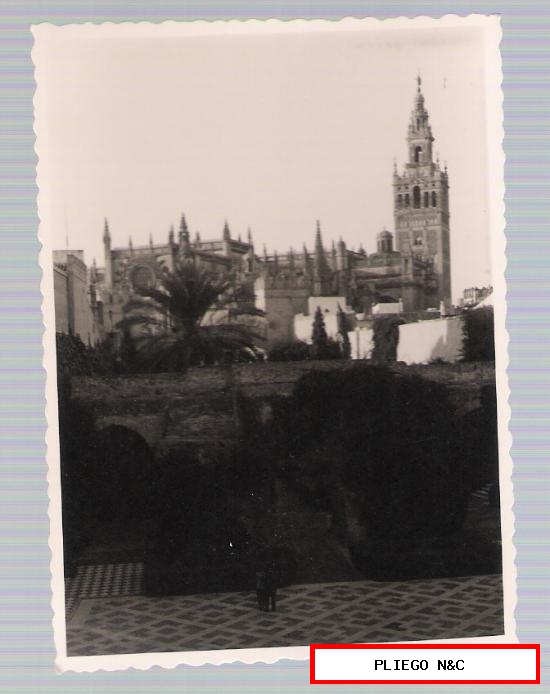 Fotografía (7,5x10) Sevilla. La Catedral y la Giralda desde los jardines del Alcázar