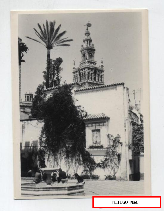 Fotografía (12,5x9) Sevilla. Plaza de la Alianza. Fotógrafo Agudeló-Sevilla. Años 60-70
