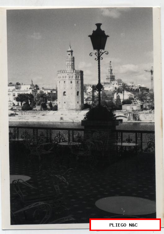 Fotografía (12,5x9) Sevilla. Torre del Oro y Giralda. Fotógrafo Agudeló-Sevilla. Años 60
