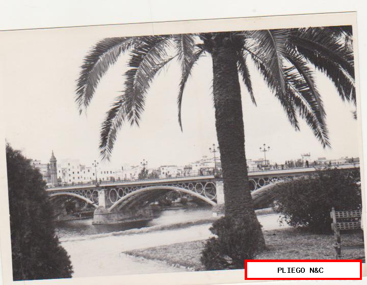 fotografía (9x12) puente de Isabel ii. Fotógrafo Agudelo. Años 60-70