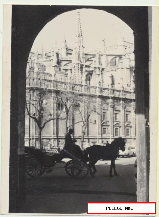 fotografía (9x12) la catedral. Fotógrafo Agudelo. Años 60