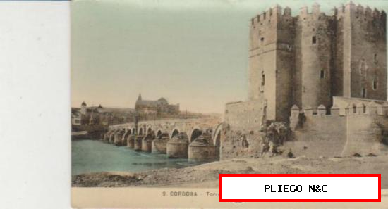 Córdoba. Torre de la Calahorra y Puente Romano