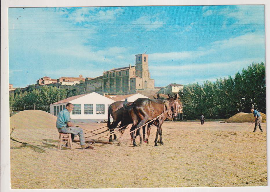 Lerma.- Trilla en Castilla. Año 1966. sin circular