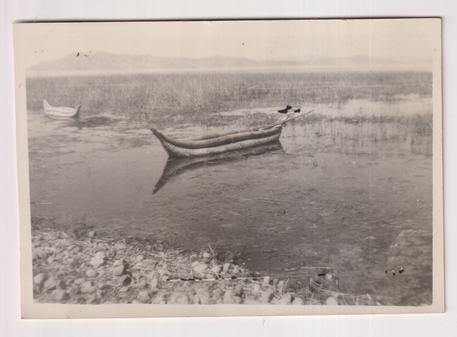 Foto postal. Bolivia. Balsa de Totora en Lago Titicaca