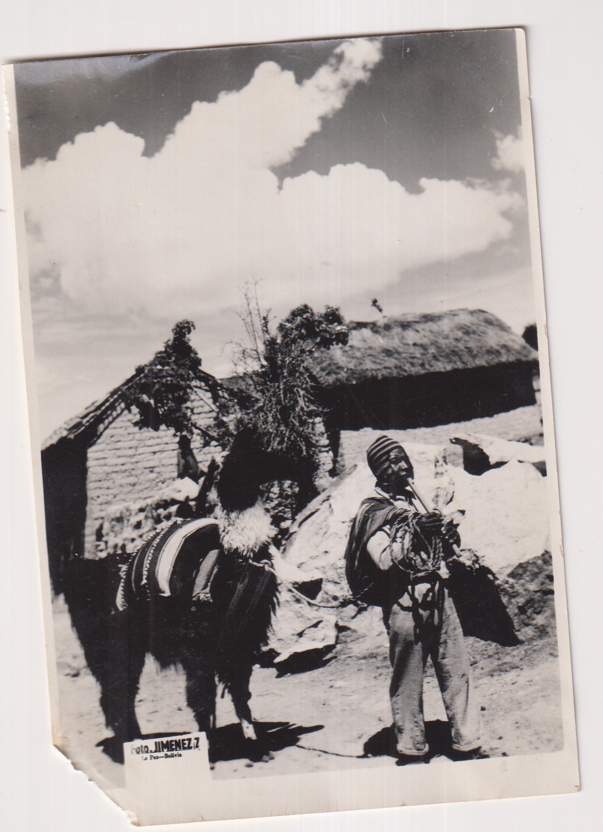 Fotografía (12,5x8,5) Bolivia. Escena del Altiplano: Hombre con flauta y Llama. Foto. Jiménez