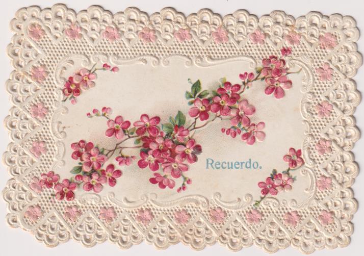 Tarjeta Española de Puntillas (8x12) Escrita al dorso