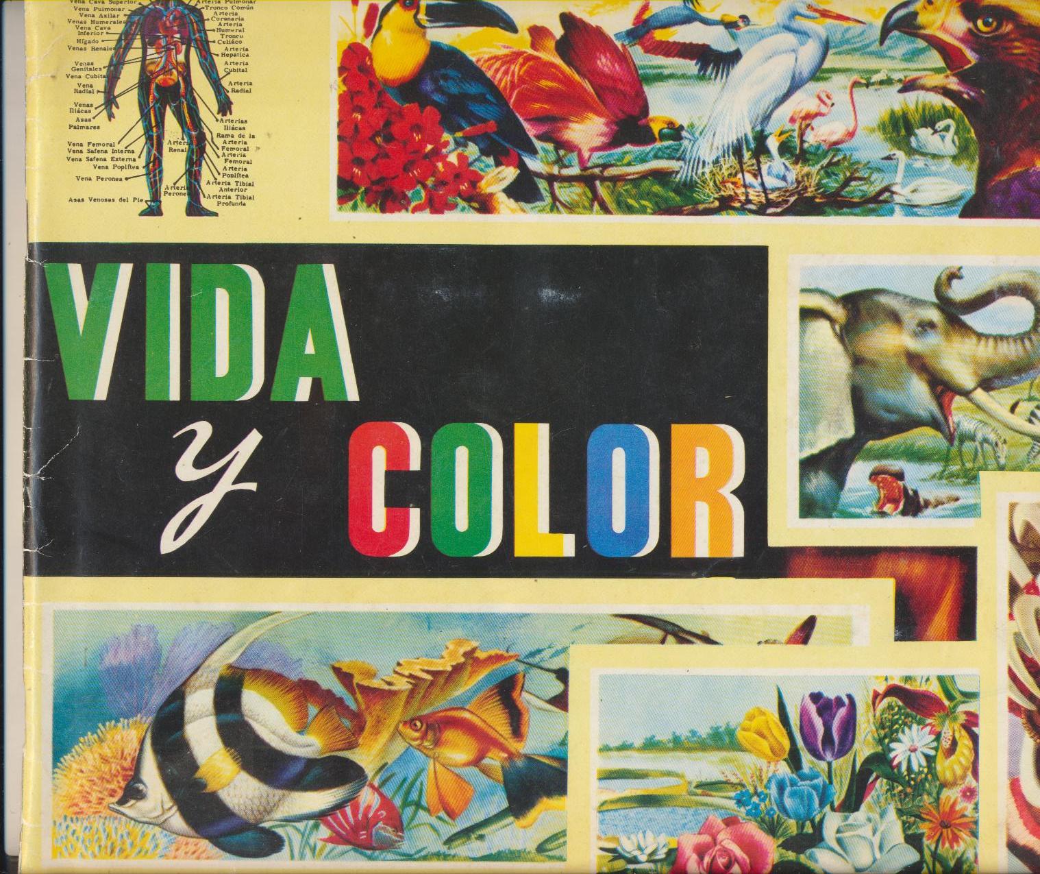 Vida y Color. Álbumes Españoles 1965. Faltan 20 cromos