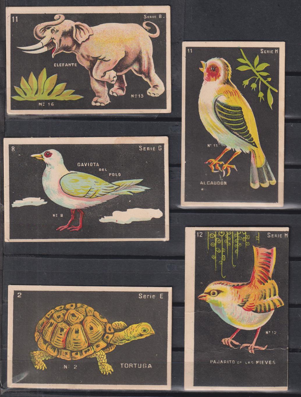 Chocolates Supremo. Lote de 5 cromos (6,5x9,5)
