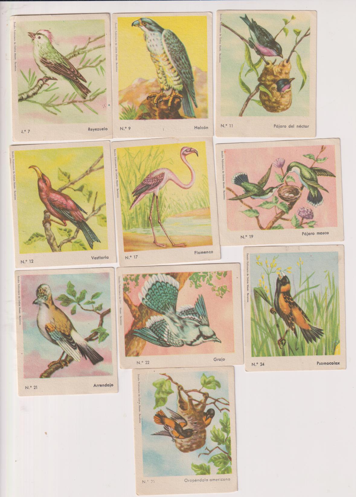 Aves. publicidad de Ceregumil. Lote de 10 cromos: 7, 9, 11, 12, 17, 19, 21, 22, 24, 25