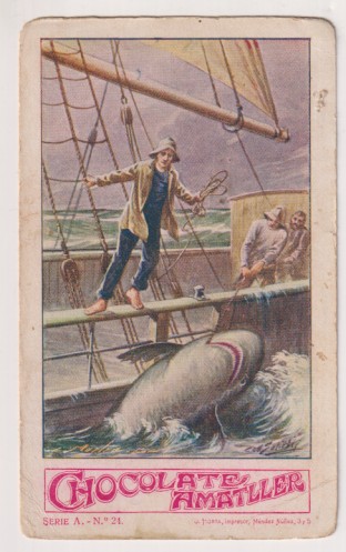 Chocolate Amatller. Cromo Caza y Pesca Serie A nº 24