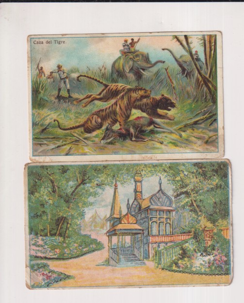 Lote de 2 cromos: Caza de Tigre. Publicidad Lazcano Chocolates, Betellu