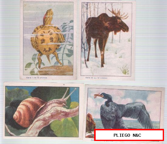 Lote de 4 cromos (15x7,5) Historia natural (2) y Colección Zoológica (2)