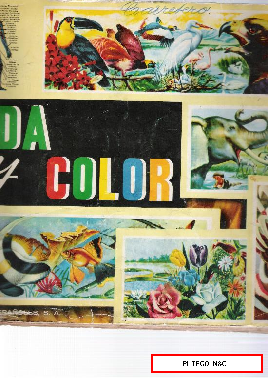 vida y color. Álbumes españoles 1965. Faltan 62 cromos