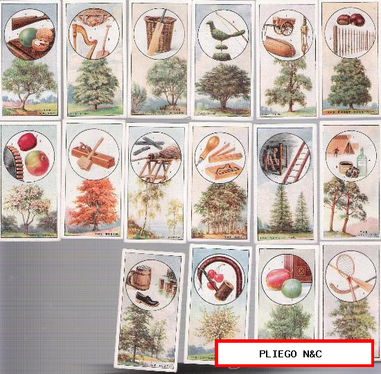 British Trees & Their uses. Lote de 16 cromos Ingleses