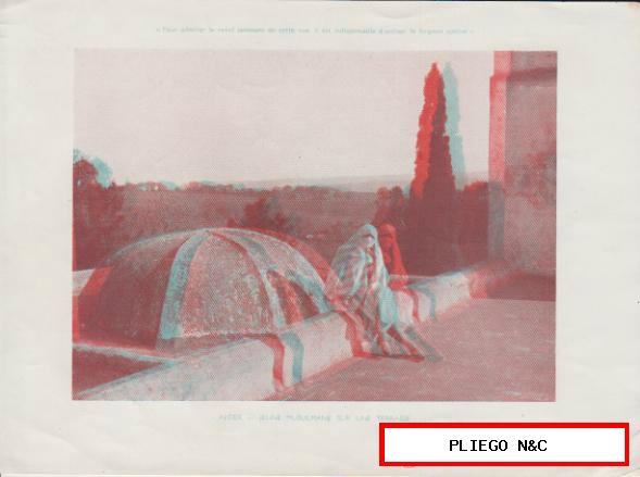 Cromo. Alger-Jeune Musulmane sur une terrasse (15X21) para ver en relieve. Publicidad
