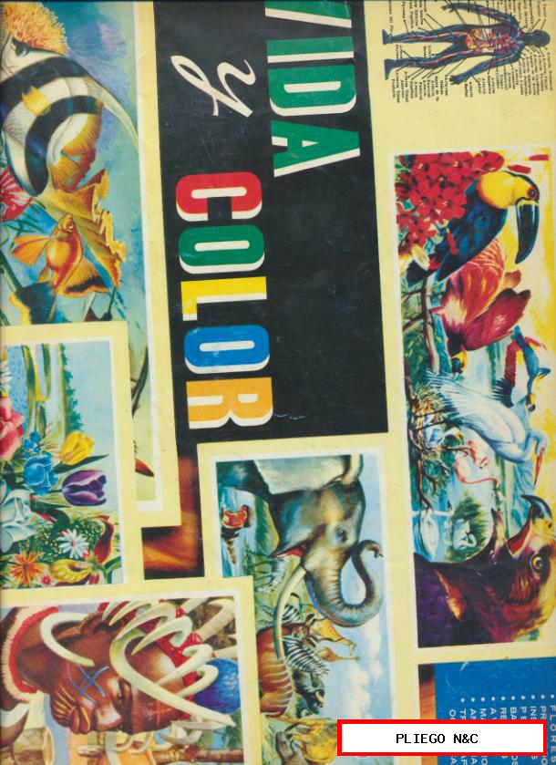 Vida y Color. Álbumes Españoles 1965. Tiene 293 cromos de 380