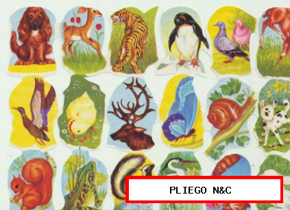 Pliego (11x15,5) cromos troquelados. Años 70?