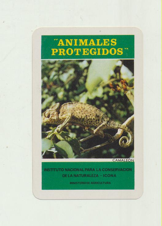Calendario Fournier. Icona. Animales Protegidos Camaleón 1974