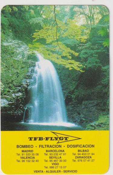 Calendario Fournier Tfb-Flygt 2000