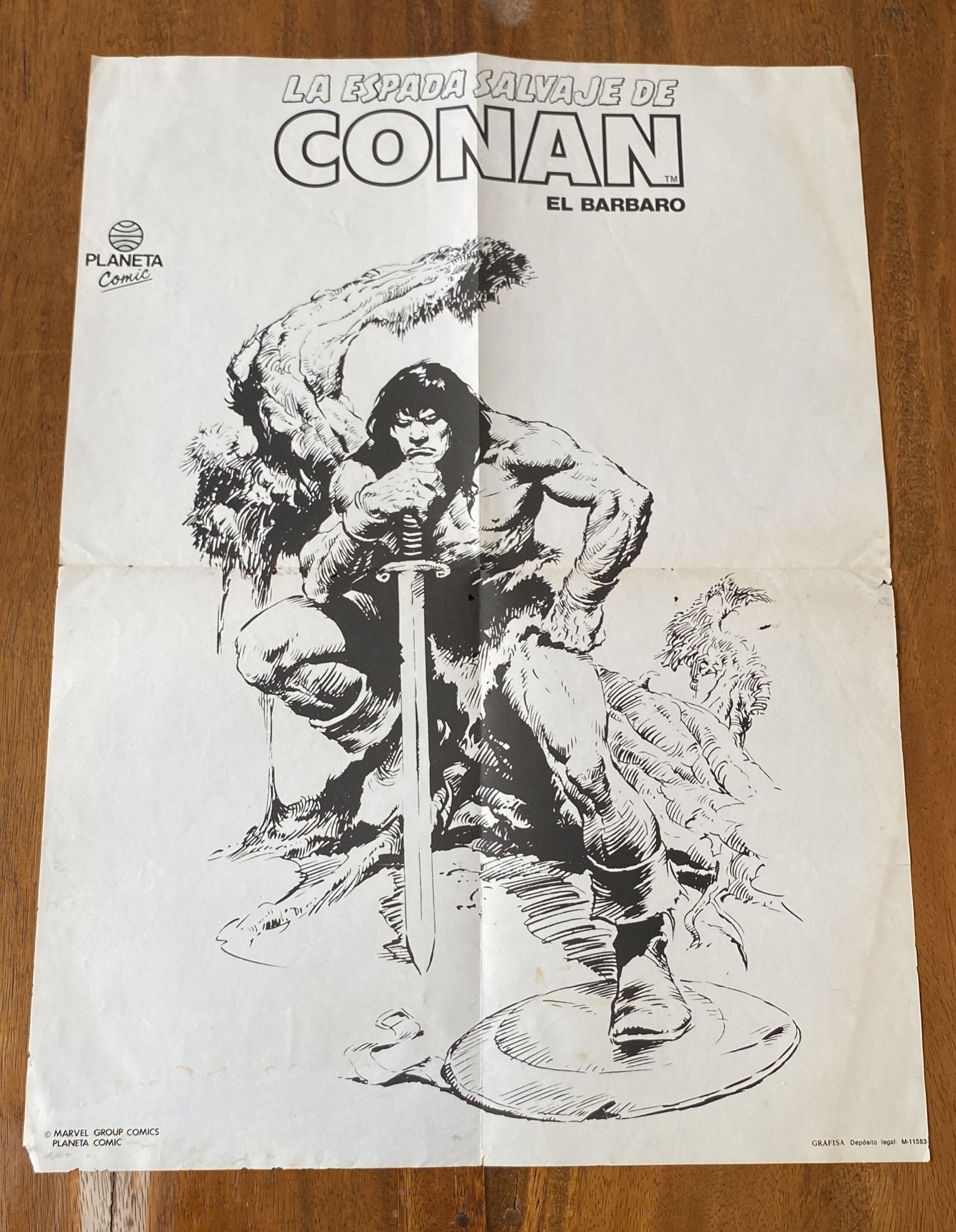 La Espada Salvaje de Conan. Cartel (53x39) de Planeta