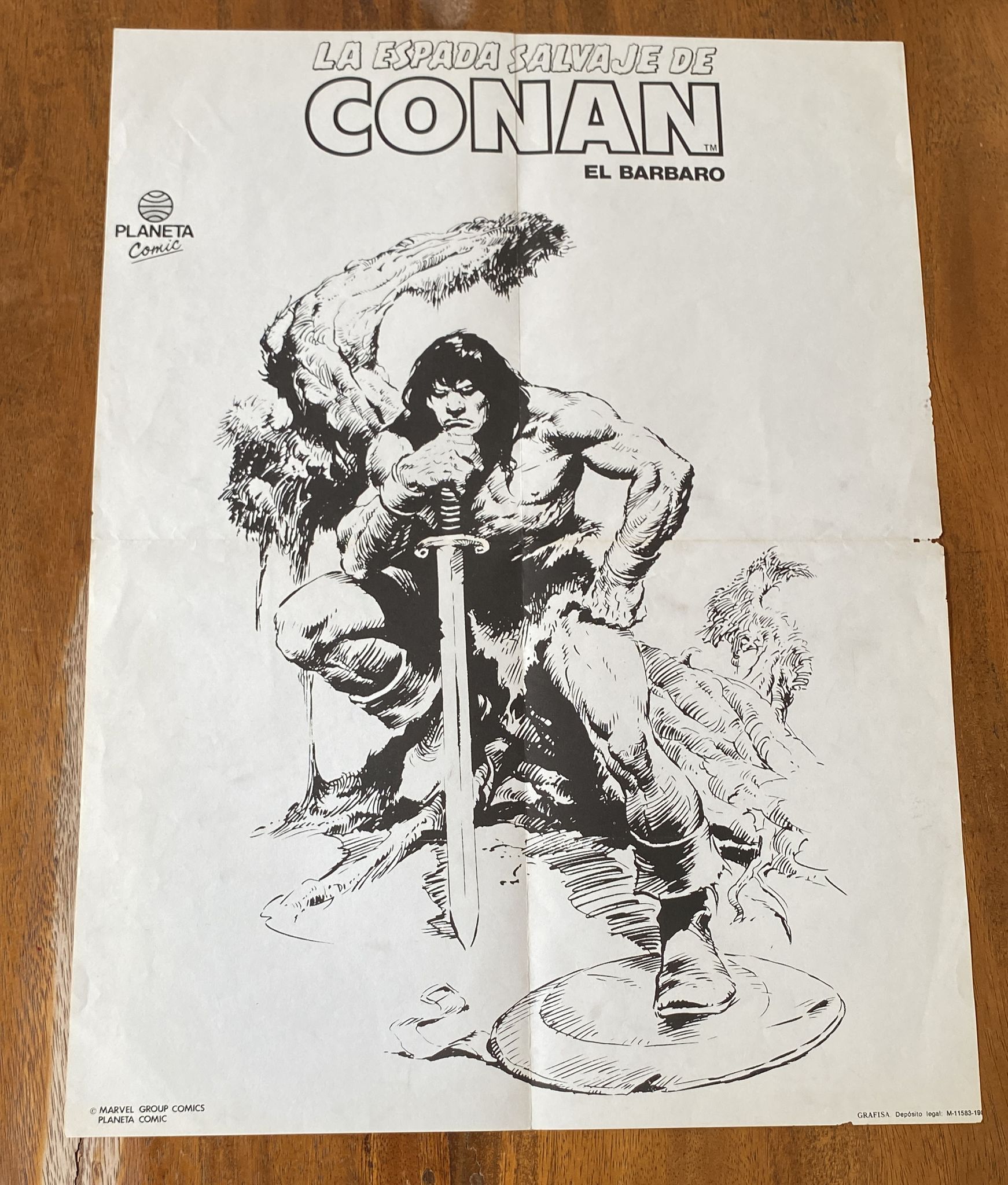 La Espada Salvaje de Conan. Cartel (53x39) de Planeta