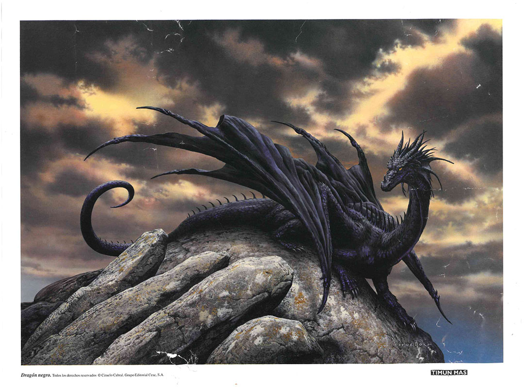 Cartel (40x30 cm.) Dragón negro de Timun mas. Editorial Ceac