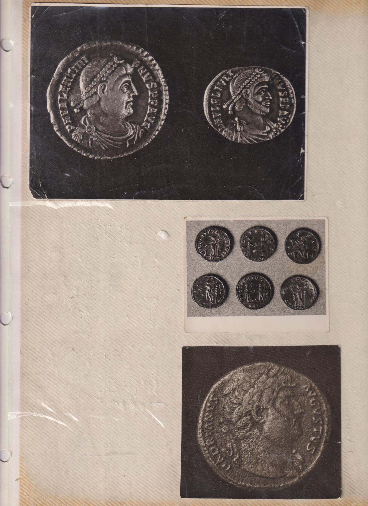 Lote de 4 Etiquetas de Cayetano del Pino