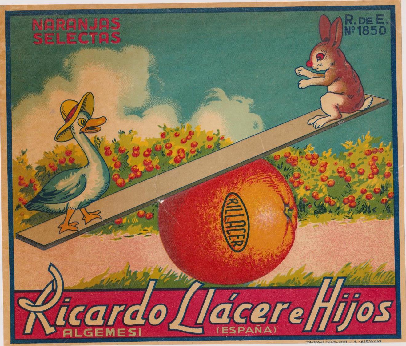 Publicidad (22x19) Naranjas Selectas. Ricardo Llácer e Hijos. Algemesí