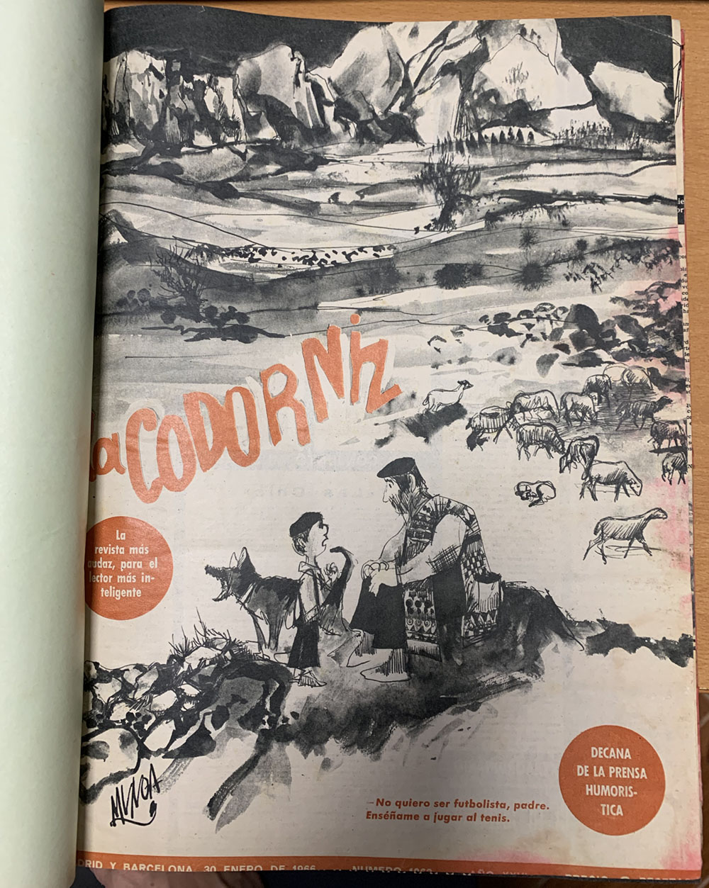 La Codorniz. Tomo encuadernado, 19 ejemplares de enero a agosto de 1966