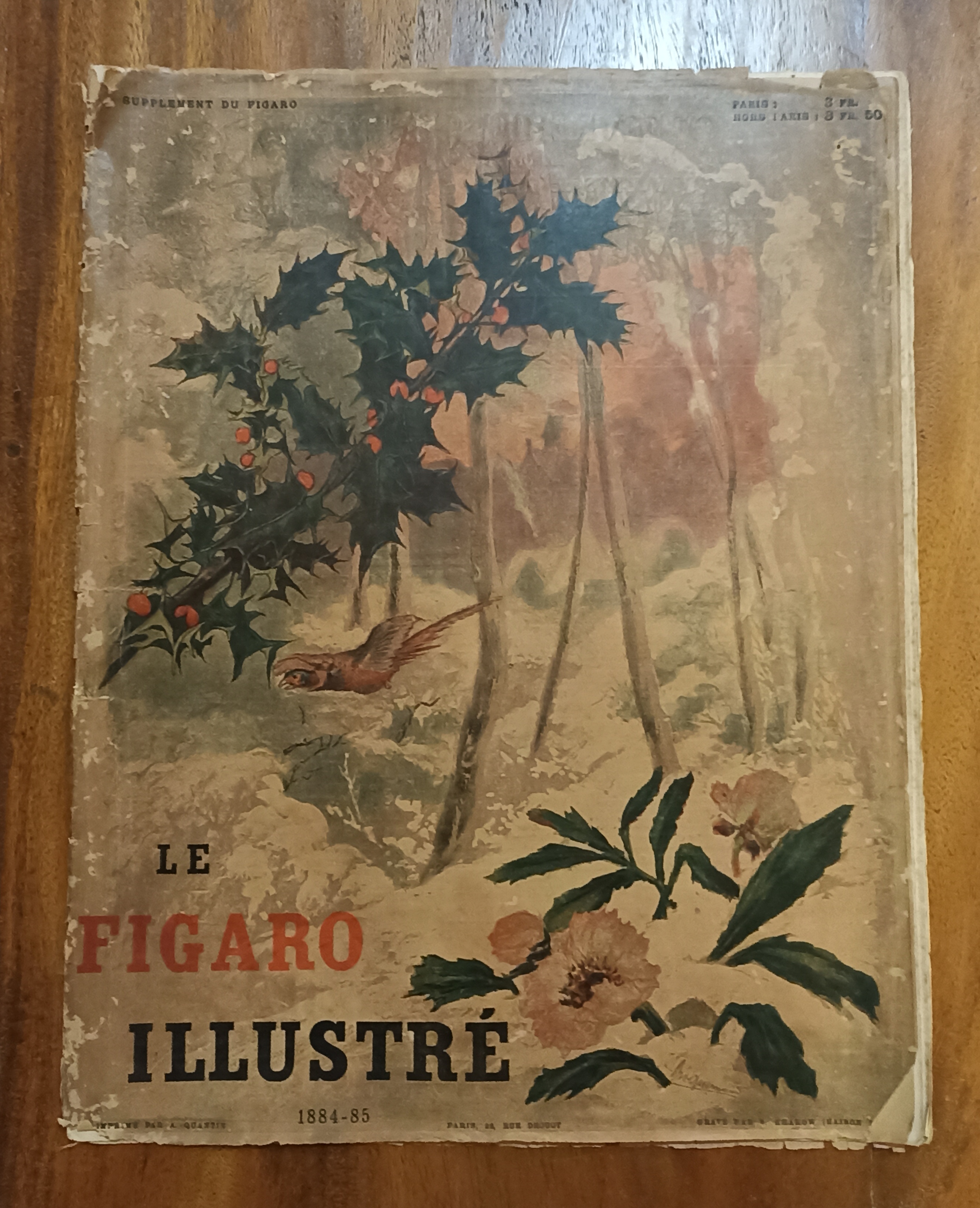 Le Figaro Illustré. Año 1884-85. (48x38 cms.) 36 páginas con bellas láminas y grabados
