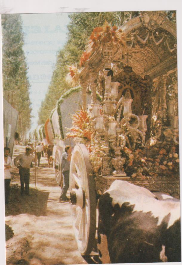 I Semana Cultural Rociera. Días :7, 8, 11, 12, 13, 14 y 15 de mayo de 1982 en el Patio de los Naranjos del Salvador