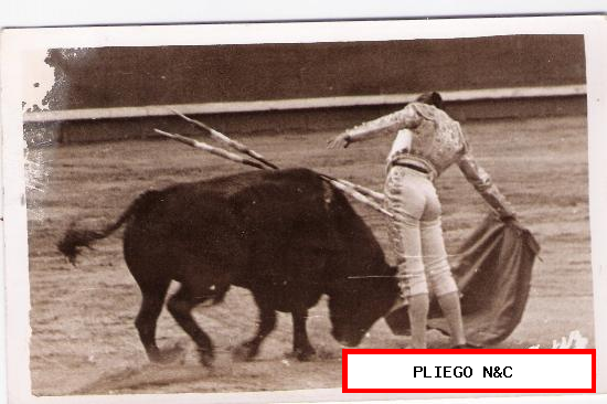 Foto Taurina (9x14) Antonio Ordóñez. Alternativa en Las Ventas el 28 Junio 1951