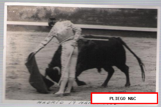 Foto Taurina (9x14) Antonio Ordóñez. Madrid 19 Marzo 1950. Fue derribado y corneado al iniciar la faena