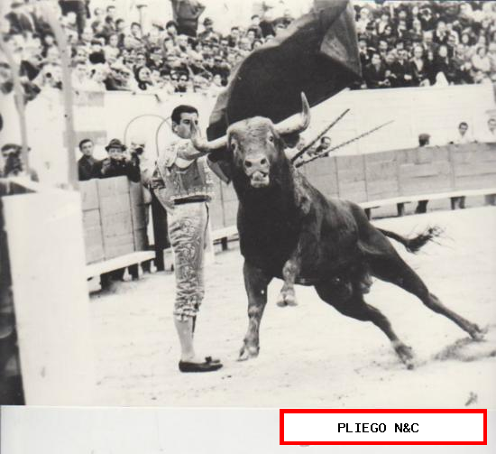 Ronda. Fotografía (18x24) Ordoñez. Corrida