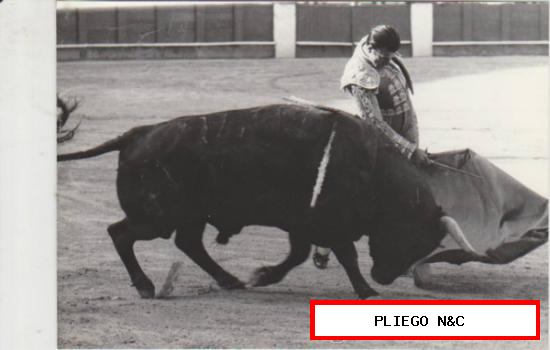Fotografía (13x17) A. Ordoñez. Foto Arjona-Sevilla
