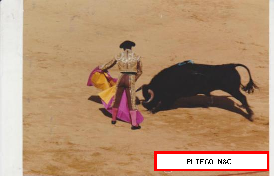 Fotografía (13x17) La Maestranza. Feria Abril 1984. Foto Arjona-Sevilla