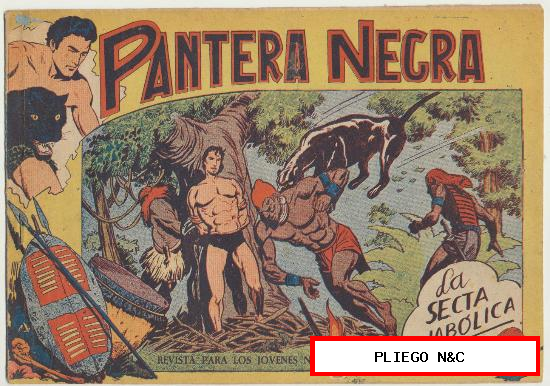 Pantera Negra nº 43