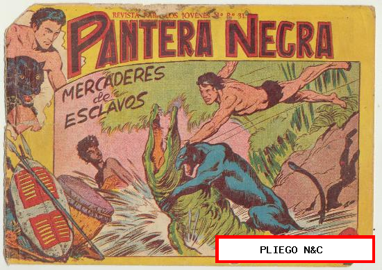 Pantera Negra nº 17