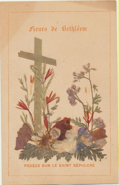 Estampa (10,5x6, 5) Fleures de Bethleem posées sur le Saint Sepulcre. (hecha con flores naturales)