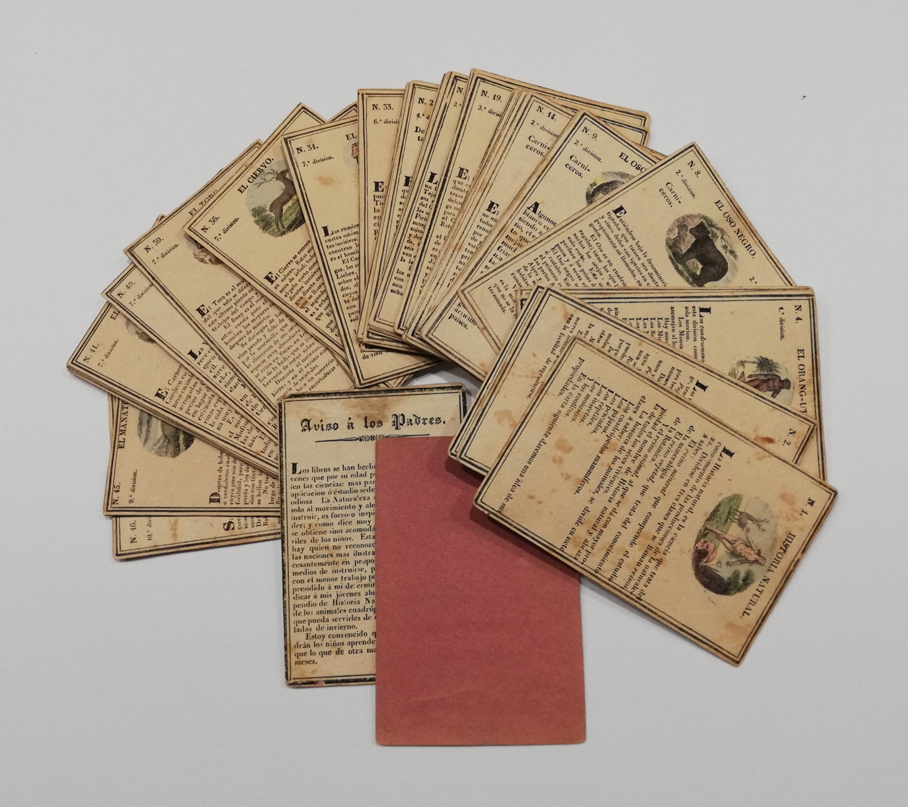 Historia Natural, primera parte: Animales. Juego de cartas instructivas. Sevilla. MUY RARO