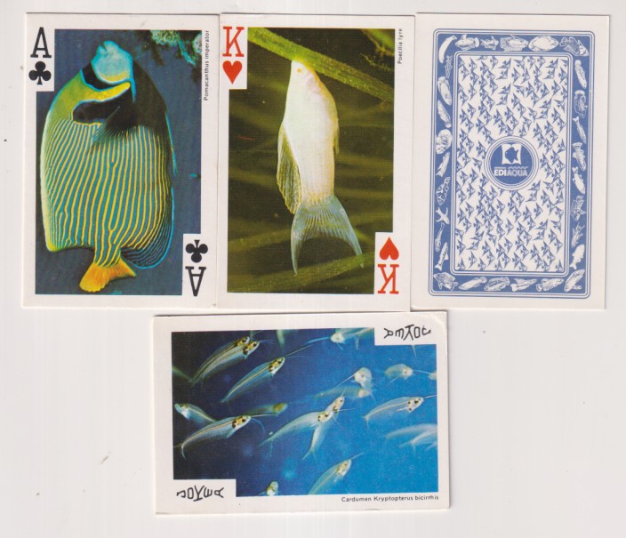Baraja de Poker 49 cartas (Completa) del mar. Ediacua. Sin usar