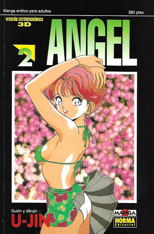 Angel. Norma 1995. Nº 2