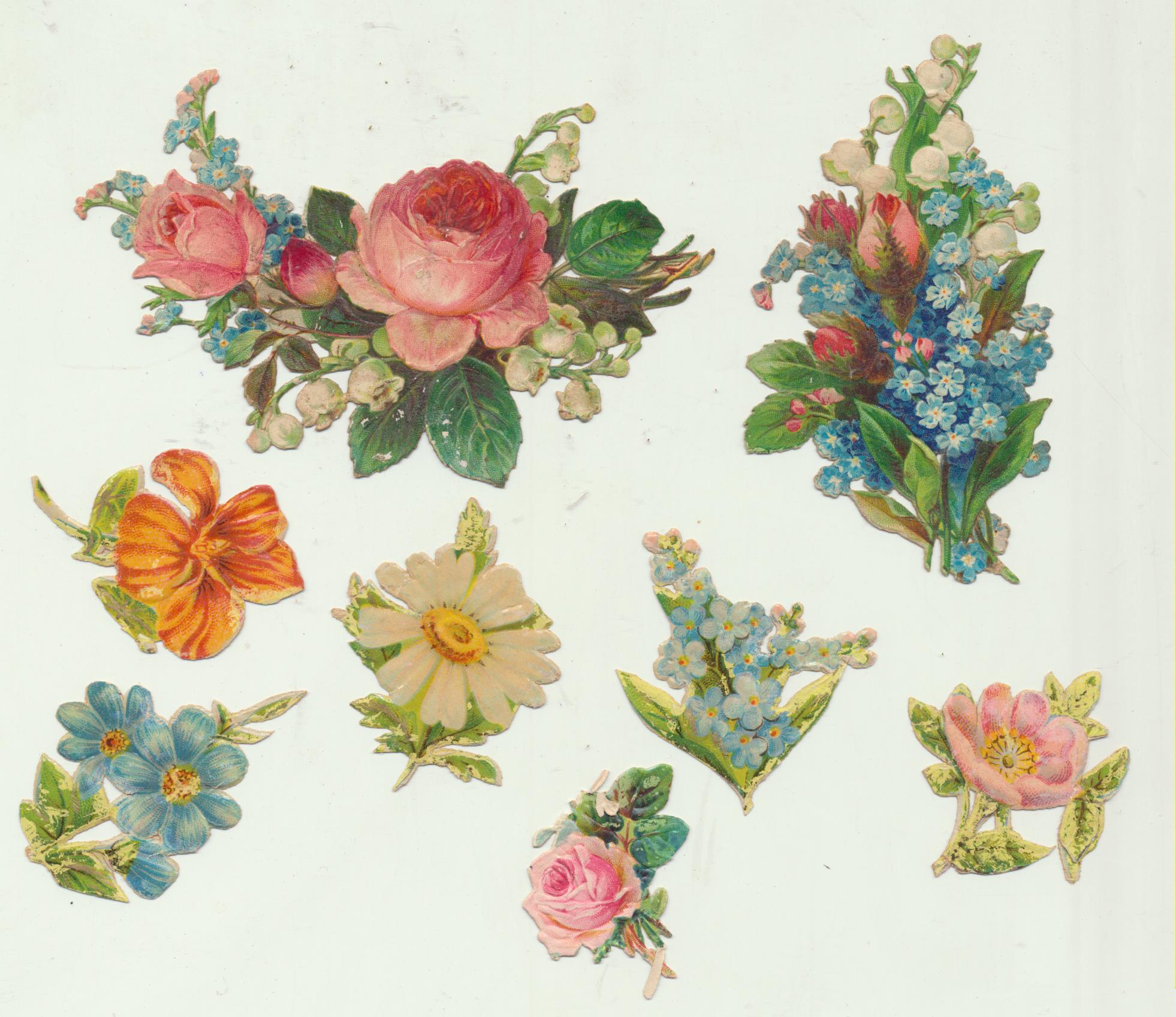 Lote de 8 Cromos Troquelados (8,5 a 3,5 cms.) Siglo XIX-XX